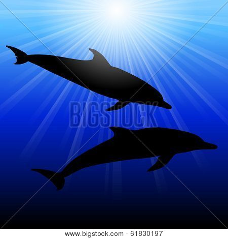 Dolphins