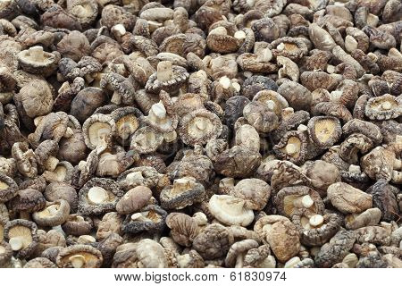 Dried Shiitake Mushrooms