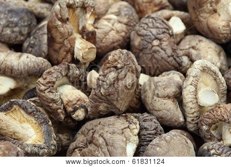 Dried Shiitake Mushrooms