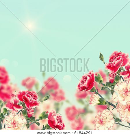Postcard With Elegant  Flowers And Empty  Place For Your Text