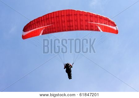 Paraglider