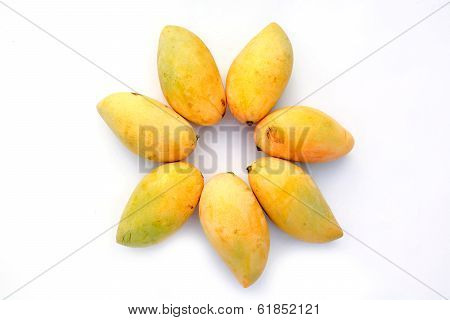 Mango