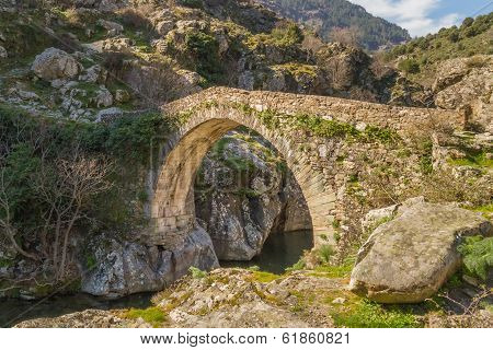 Genoese Bridge At Asco In Corsica
