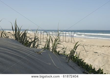 Dunes