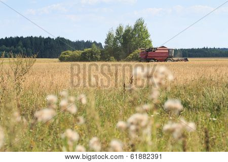 Combine machine harvesting corn on field