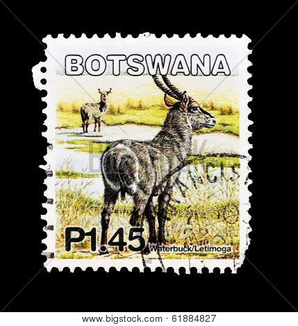 BOTSWANA - CIRCA 2002: A stamp printed in Botswana shows image of a water-buck/letimoga