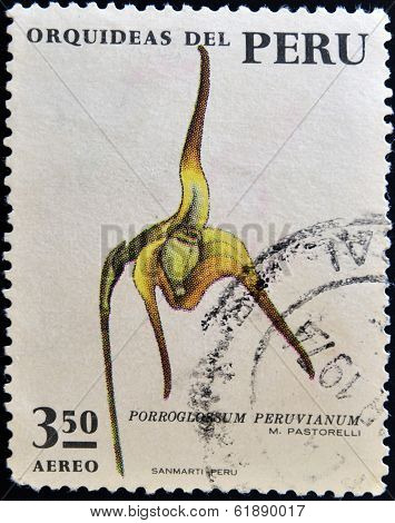 PERU - CIRCA 1971: A stamp printed in Peru shows a orchid porroglossum peruvianum circa 1971