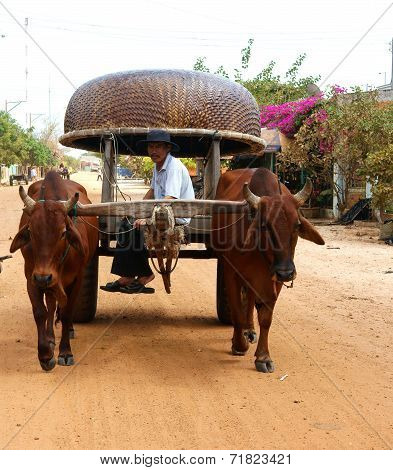 Wagon, Transport At Vietnam Countryside