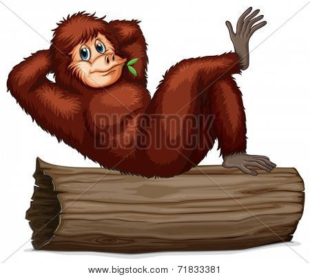 Illustration of a chimpanzee relaxing on a log