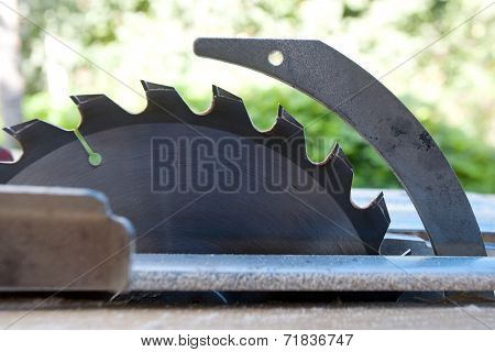Circular Saw