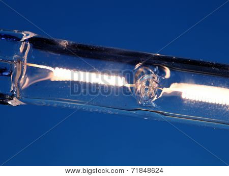 Halogen Bulb