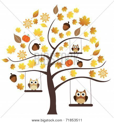 Fall Background