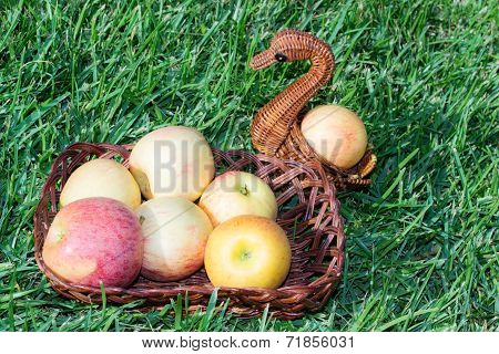 Harvest.