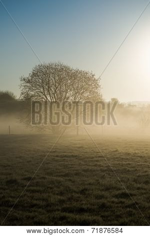 Sunrise Haze Park