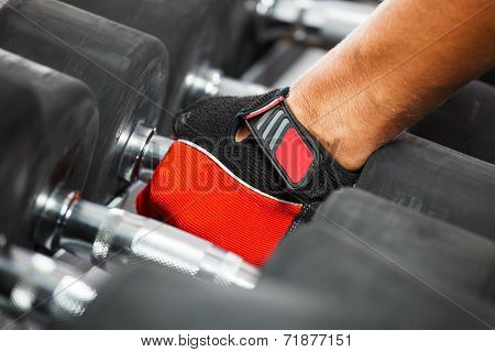 A Rack With Metal Dumbbells In Gym.