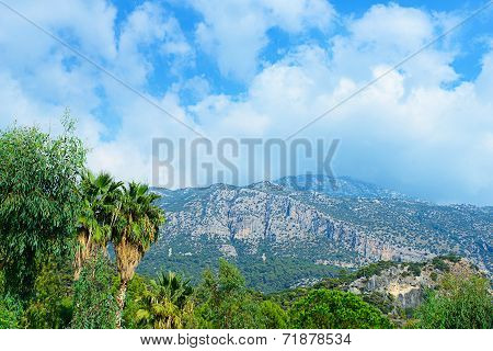 Landscape