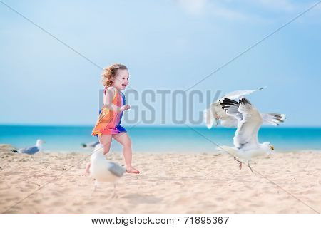 Little Girl Playing With Seagulls