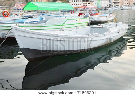 pair-oar under the white background