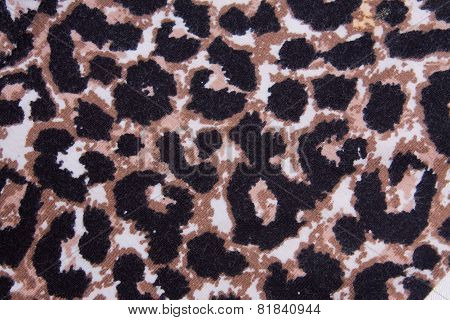 Leopard Pattern Fabric Texture