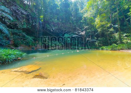 Rainforest Natural Pool And Waterfall