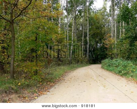 Eine Straße In einem Park