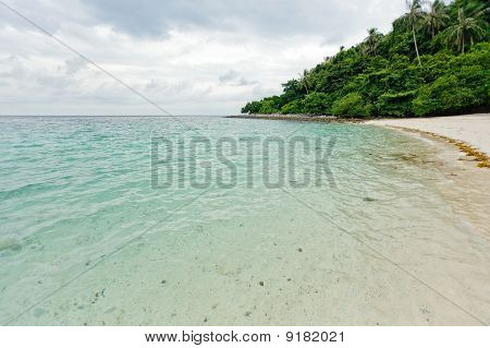 Praia do deserto tropical