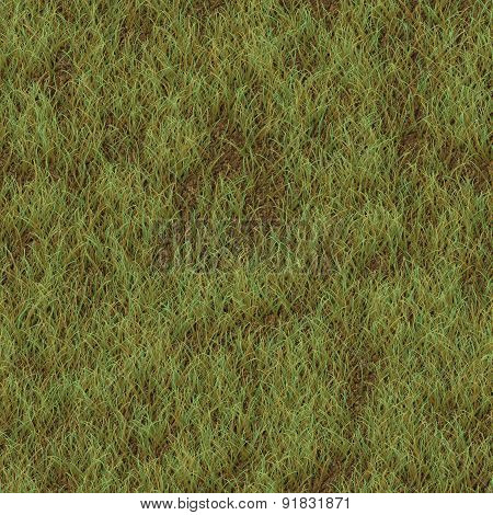 Grass Generated Seamless Texture