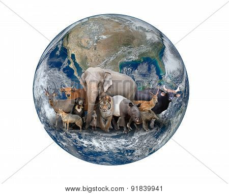 Group Of Asia Animal With Planet Earth