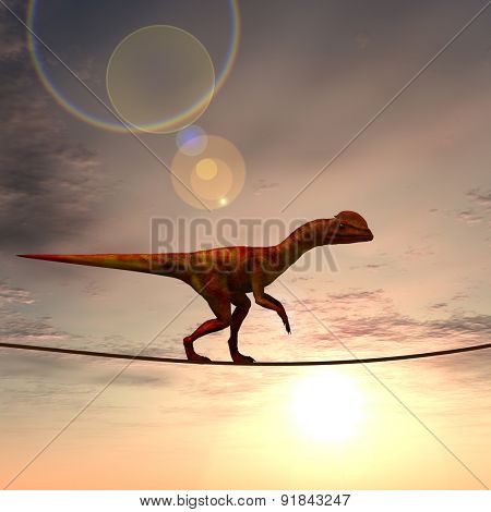 Concept or conceptual abstract business metaphor as wild heavy dinosaurus balancing on rope over sunset sky background