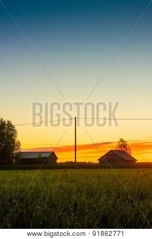 Mist On The Grass Against Sunset