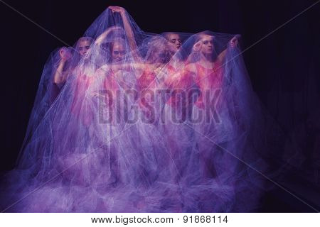 sensual and emotional dance of beautiful ballerina through the veil