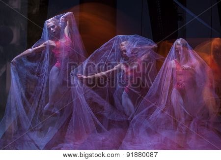 sensual and emotional dance of beautiful ballerina through the veil