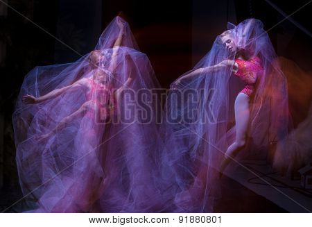 sensual and emotional dance of beautiful ballerina through the veil