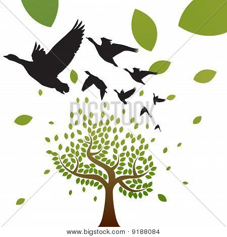 vecteur de migration