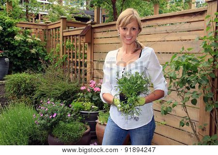 Smiling fifty year old lady gardener outside in the garden holding a pack of lobelia. 