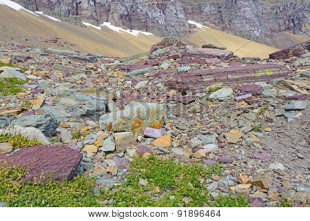 Colorful Rocks In A Scree Field