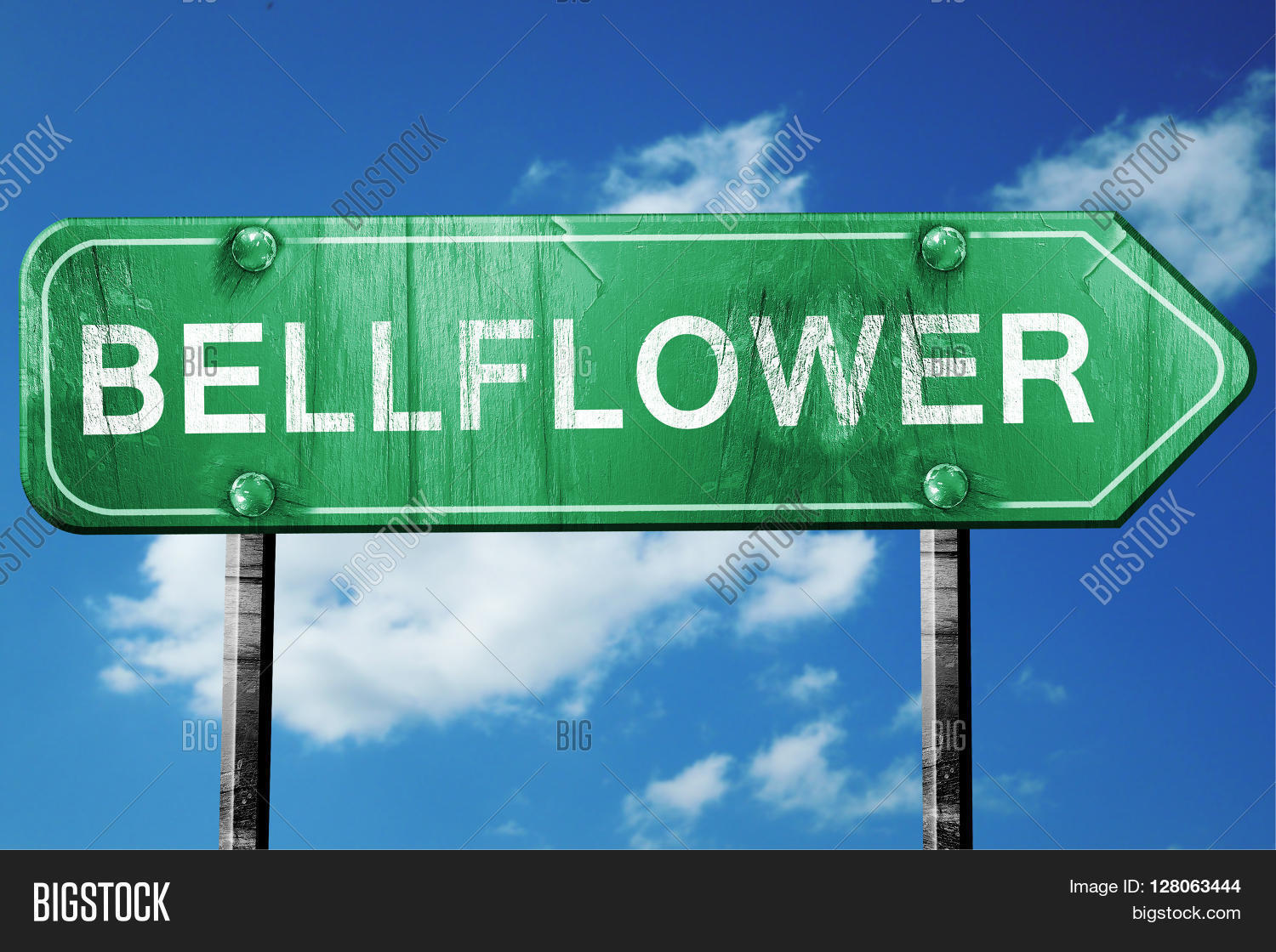Bellflower Road Sign Image & Photo (Free Trial) Bigstock