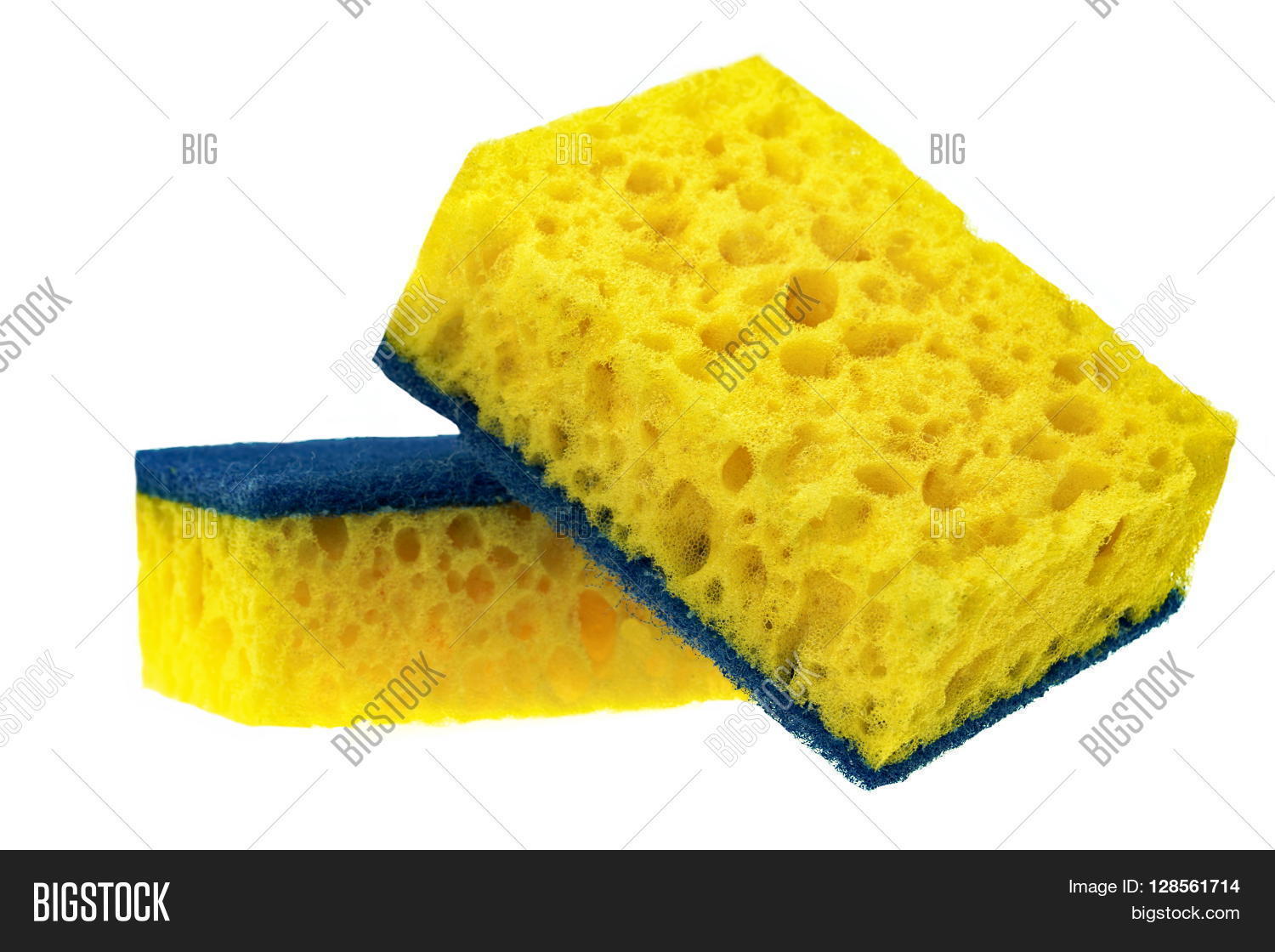 Two New Absorbent Image & Photo (Free Trial) Bigstock