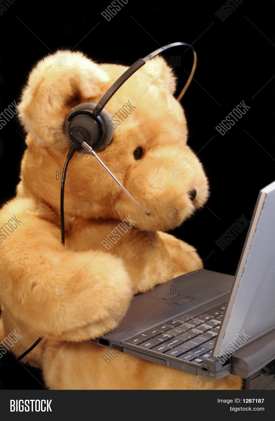 Bear Customer Service Image & Photo (Free Trial) Bigstock