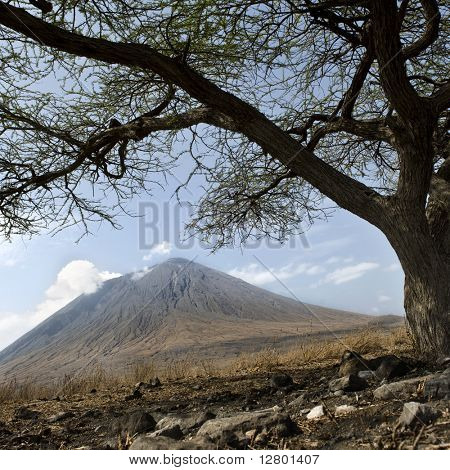 TANZANI vulcano Ol Doinyo Lengai, Tanzania, Africa