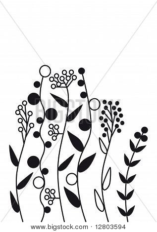 Blomster baggrunde