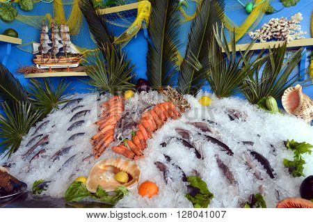 Display stands of fishes and seafoods but also shellfish put on the ice.