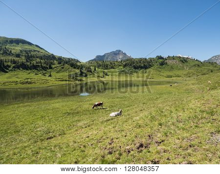 A view of Alpine mountains surrounding the village Schocken in Bregenzerwald region Vorarlberg Austria