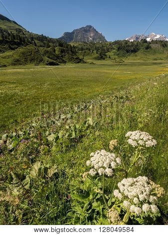 A view of Alpine mountains surrounding the village Schocken in Bregenzerwald region Vorarlberg Austria