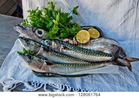 blue fish freshly caught great for a healthy diet ready to be cooked with parsley and lemon oil