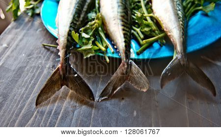 blue fish freshly caught great for a healthy diet ready to be cooked with parsley and lemon oil