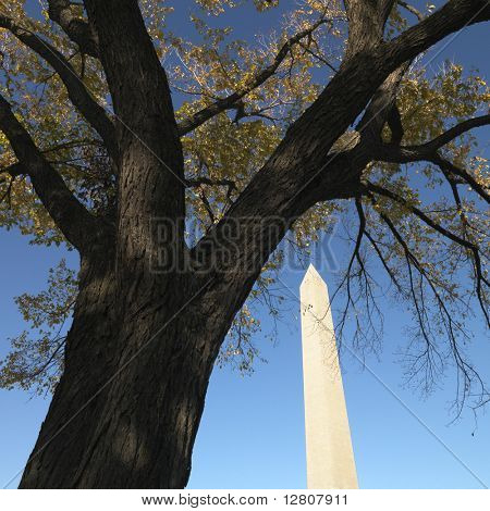 Monumento a Washington in Washington, DC, USA.