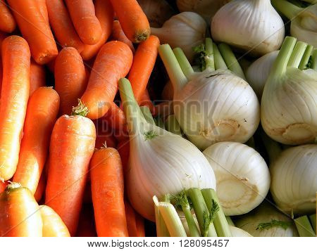 Carrots and Fenchel on bazaar in Tel Aviv Israel