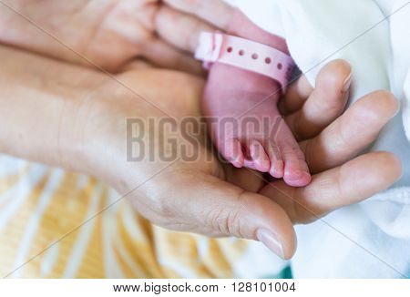 Closeup newborn baby feet into mothers hands.
