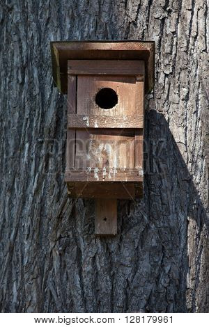 Nest box on a tree.